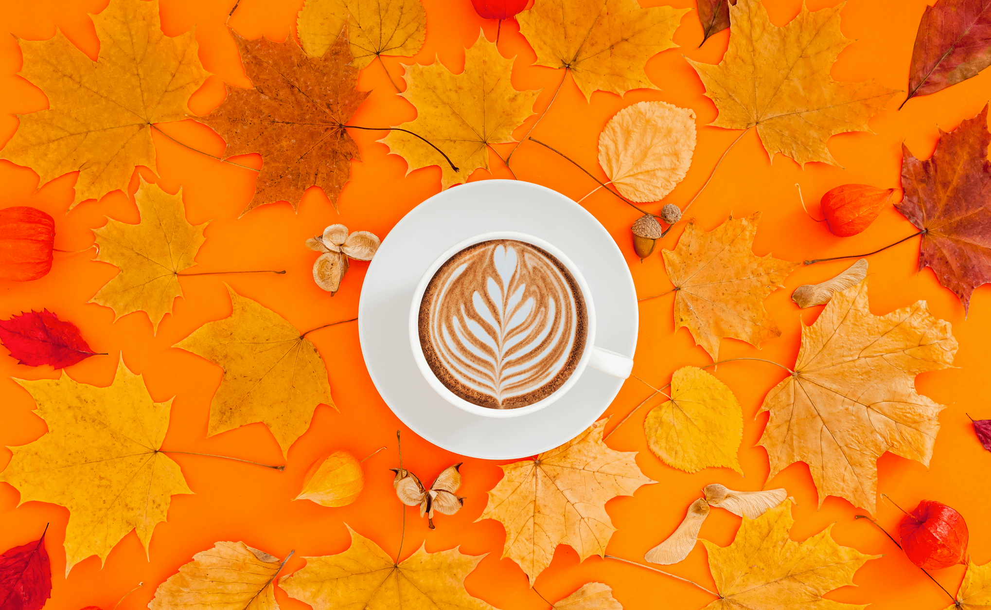 pumpkin-latte-on-background-of-autumn-leaves